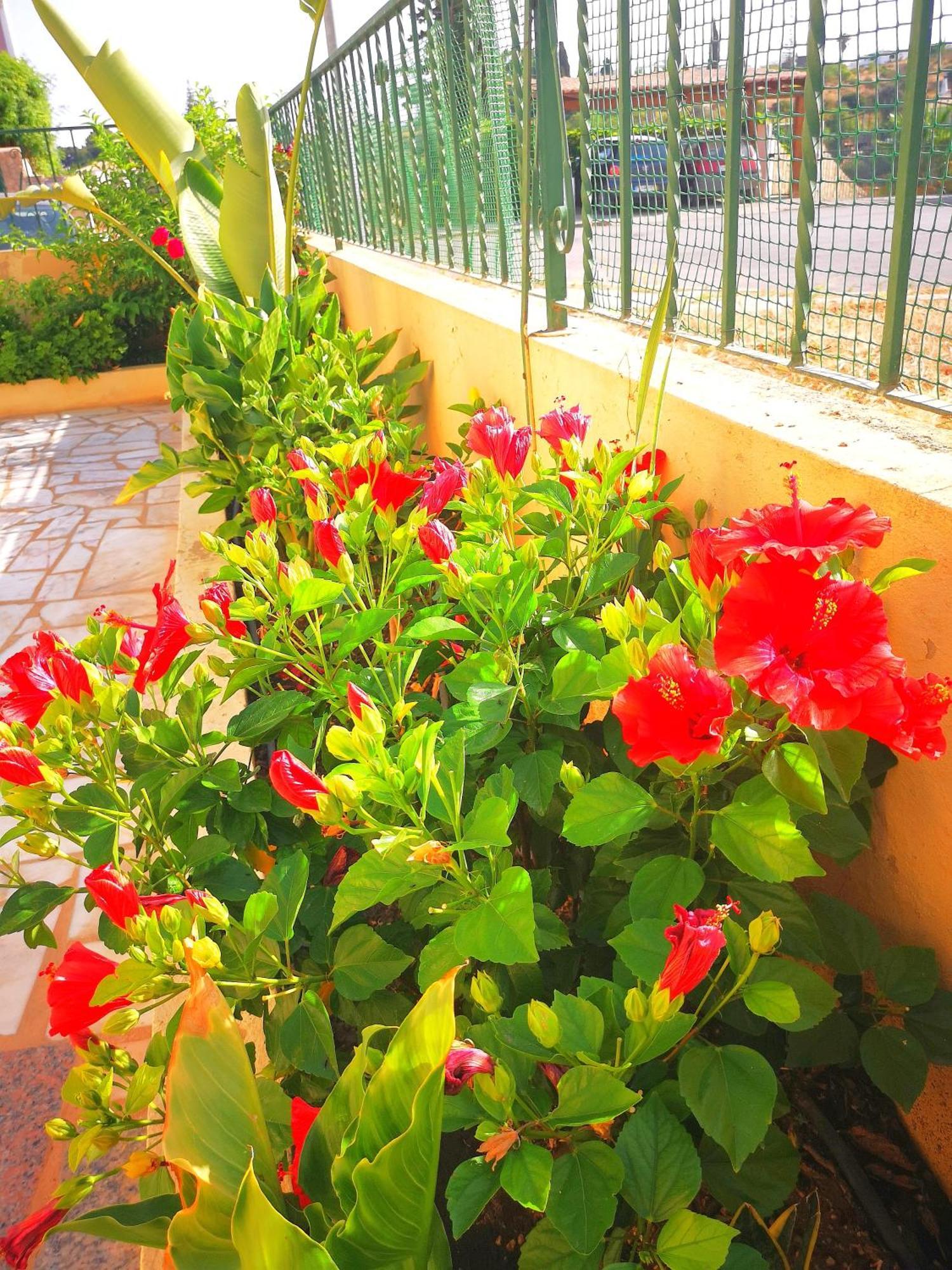 Olival With Pool Walking Distance To Villa *